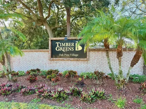9500 Green Needle Drive New Port Richey FL 34655