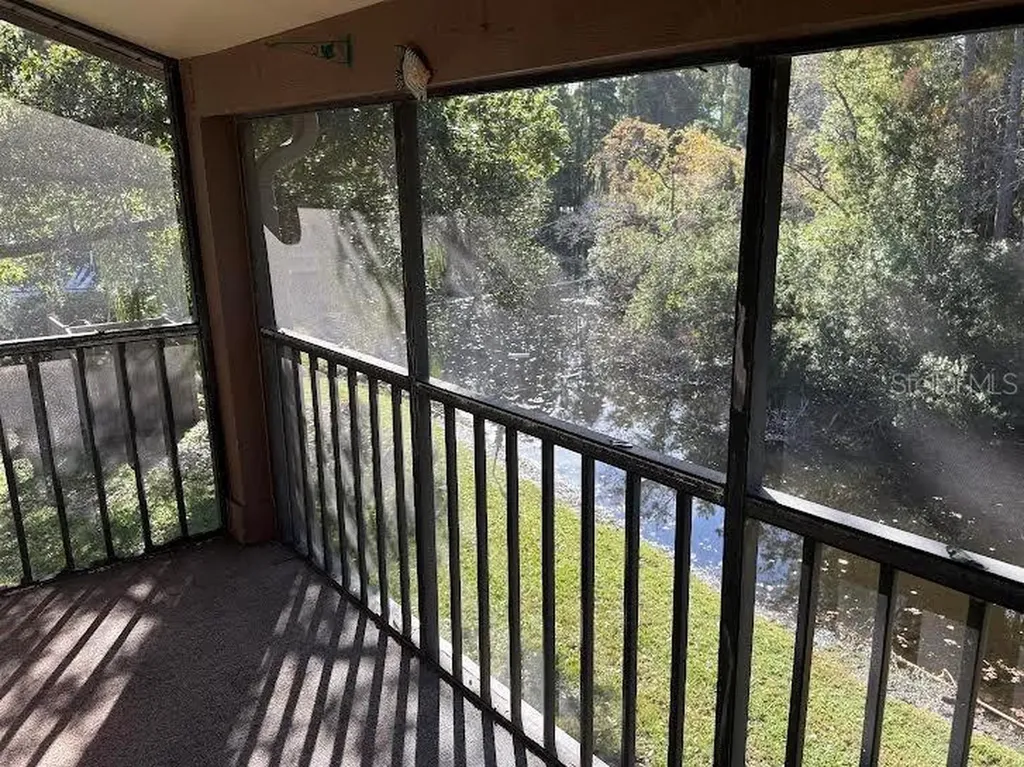 612 Baldwin Avenue Safety Harbor FL 34695
