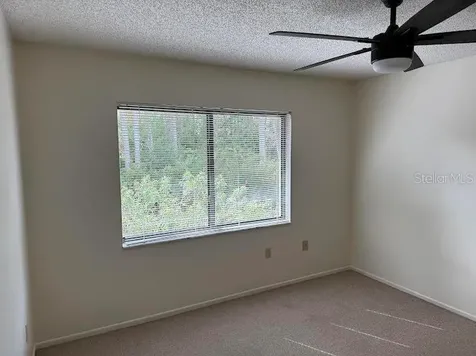 612 Baldwin Avenue Safety Harbor FL 34695