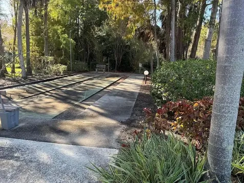 612 Baldwin Avenue Safety Harbor FL 34695