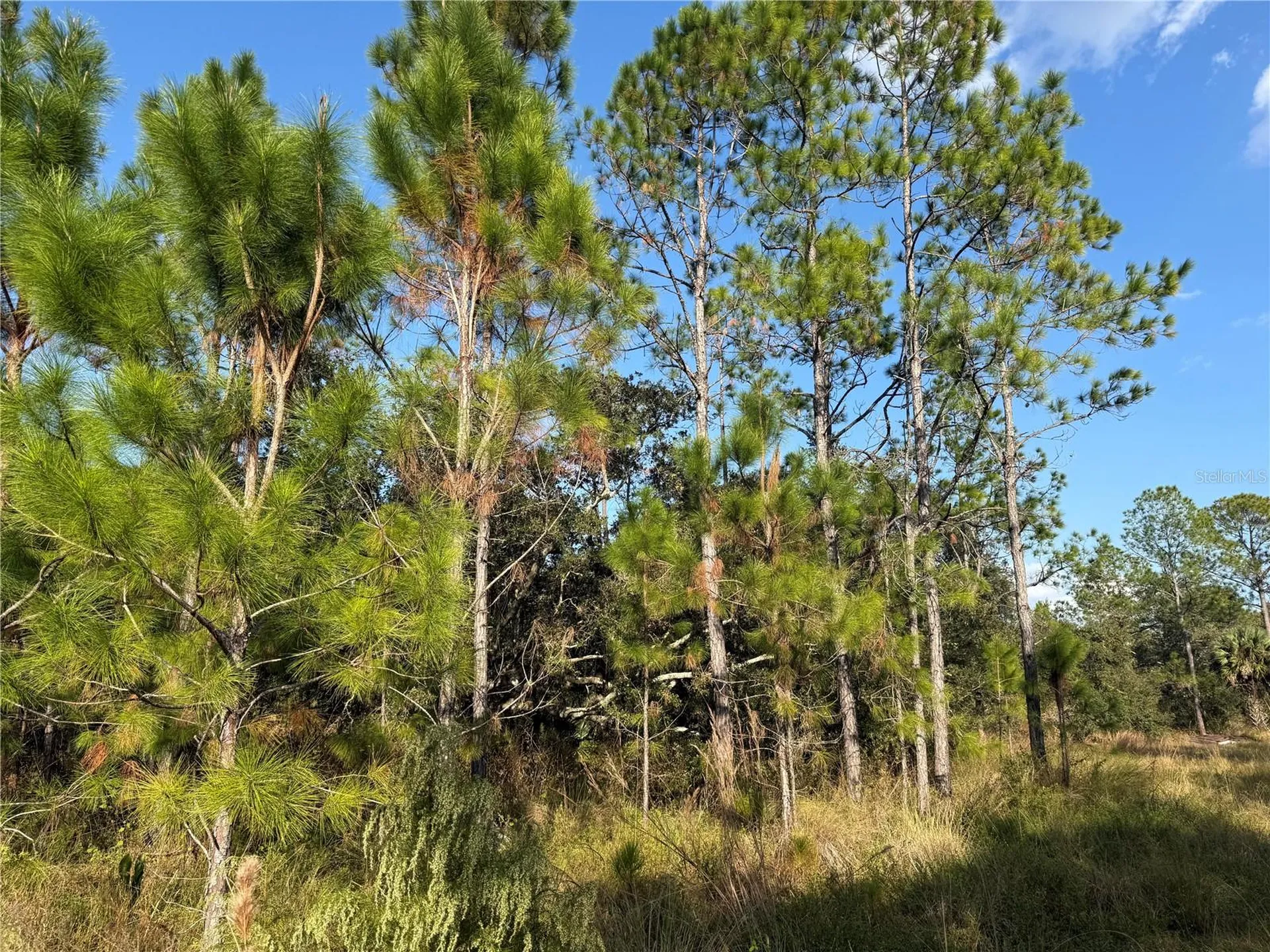 River Ranch Boulevard Lake Wales FL 33898