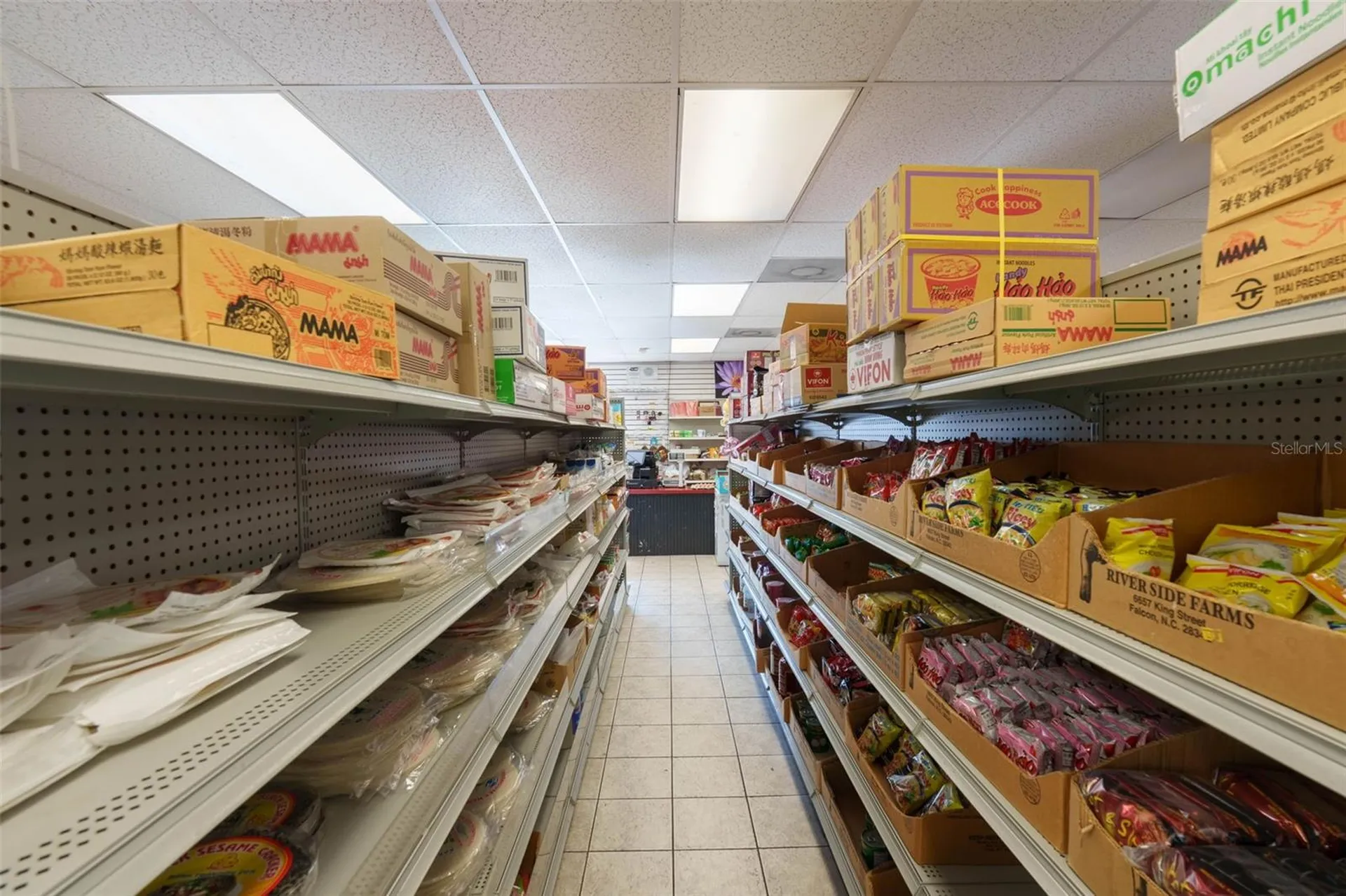 8202 N Armenia Avenue Tampa FL 33604