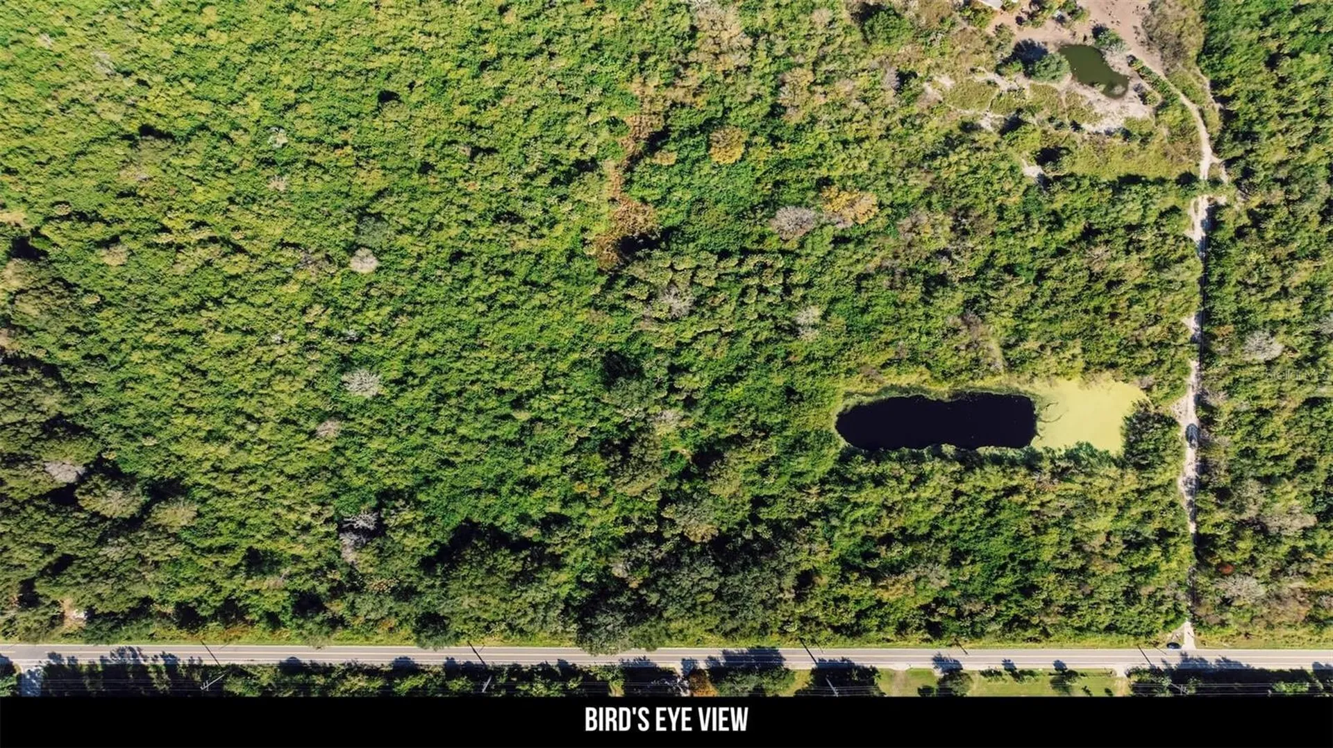 2600 Wiley Avenue Mims FL 32754