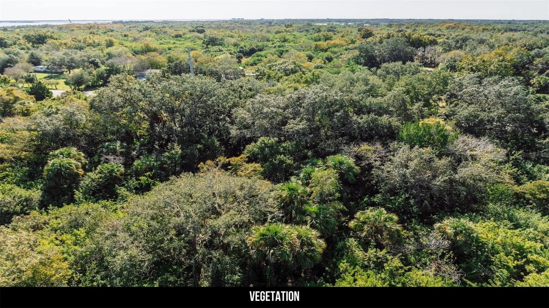 2600 Wiley Avenue Mims FL 32754