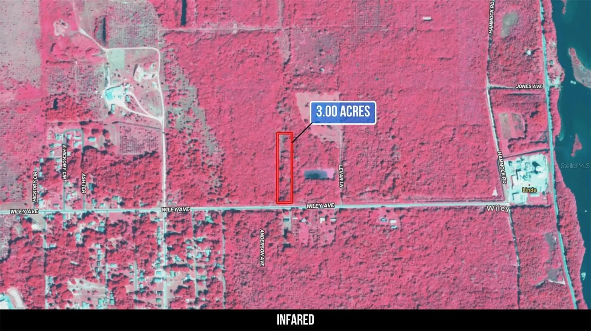2600 Wiley Avenue Mims FL 32754