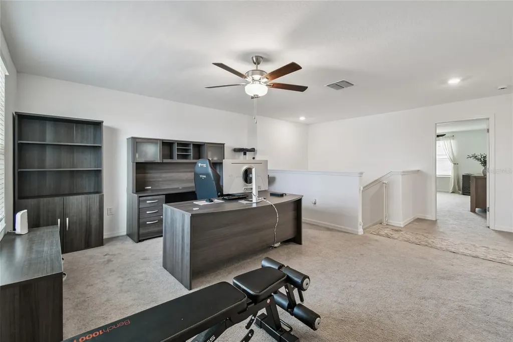 8789 Little Bluestem Drive Land O Lakes FL 34637