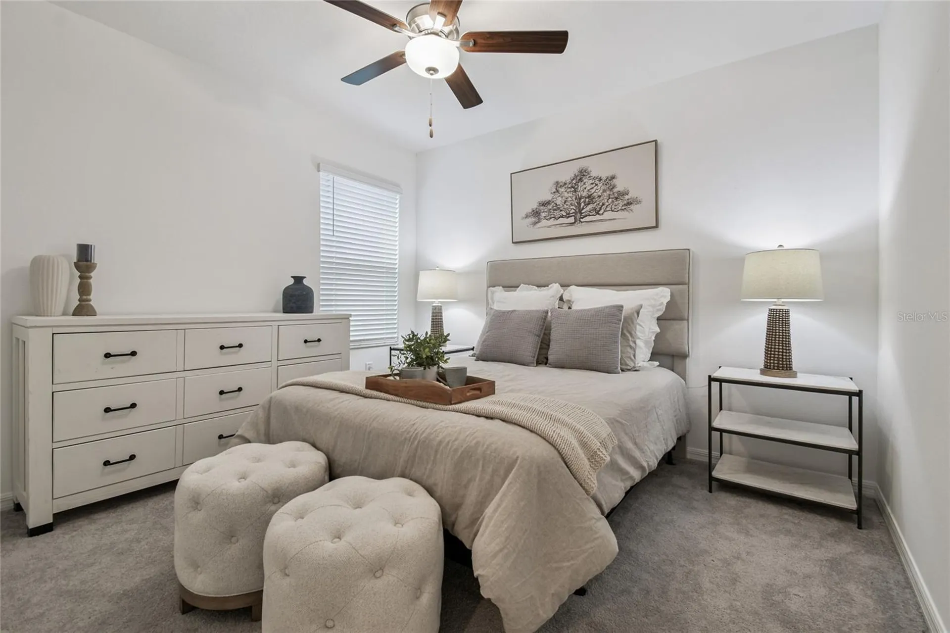 8789 Little Bluestem Drive Land O Lakes FL 34637