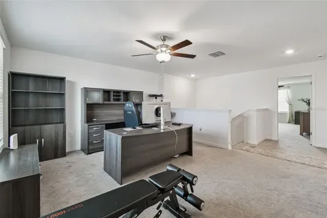 8789 Little Bluestem Drive Land O Lakes FL 34637