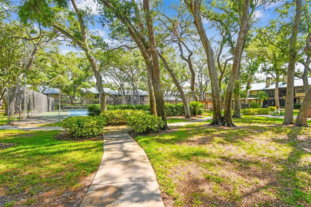 1480 Buckeye Lane Palm Harbor FL 34683
