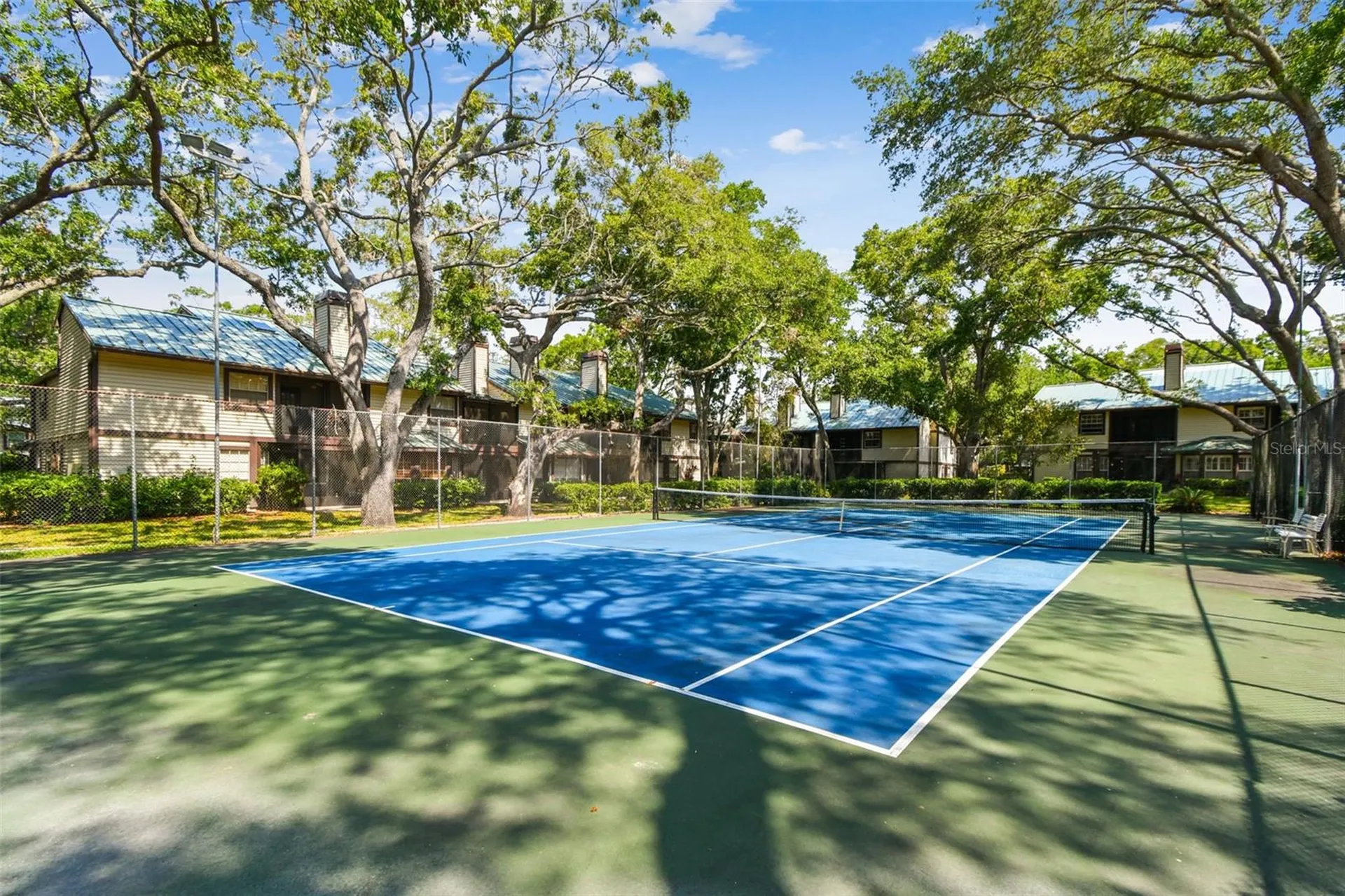 1480 Buckeye Lane Palm Harbor FL 34683