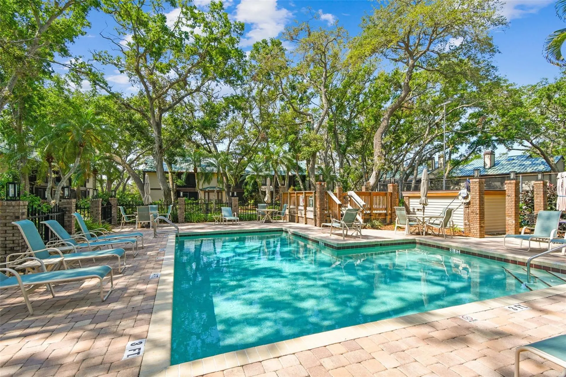 1480 Buckeye Lane Palm Harbor FL 34683