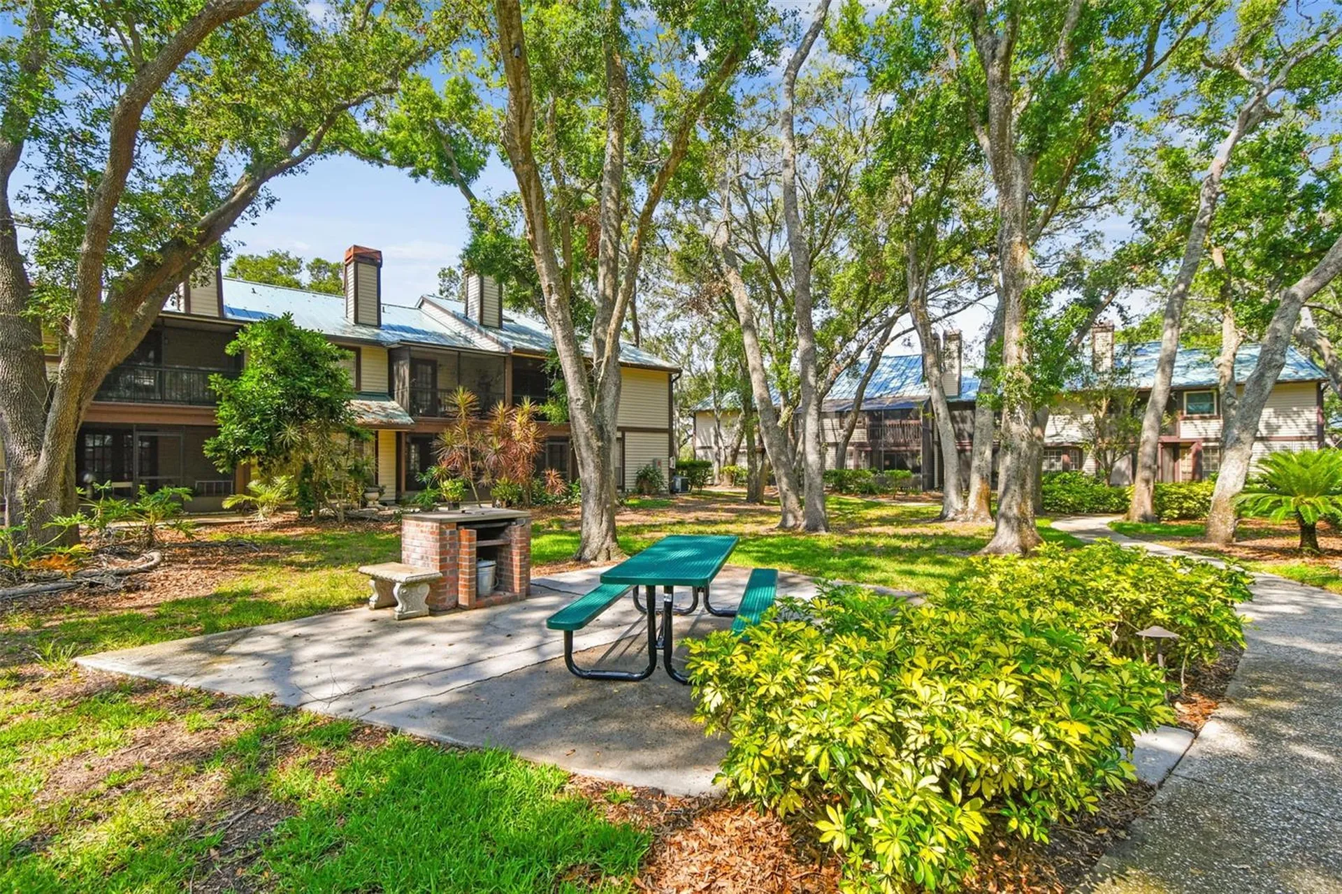 1480 Buckeye Lane Palm Harbor FL 34683
