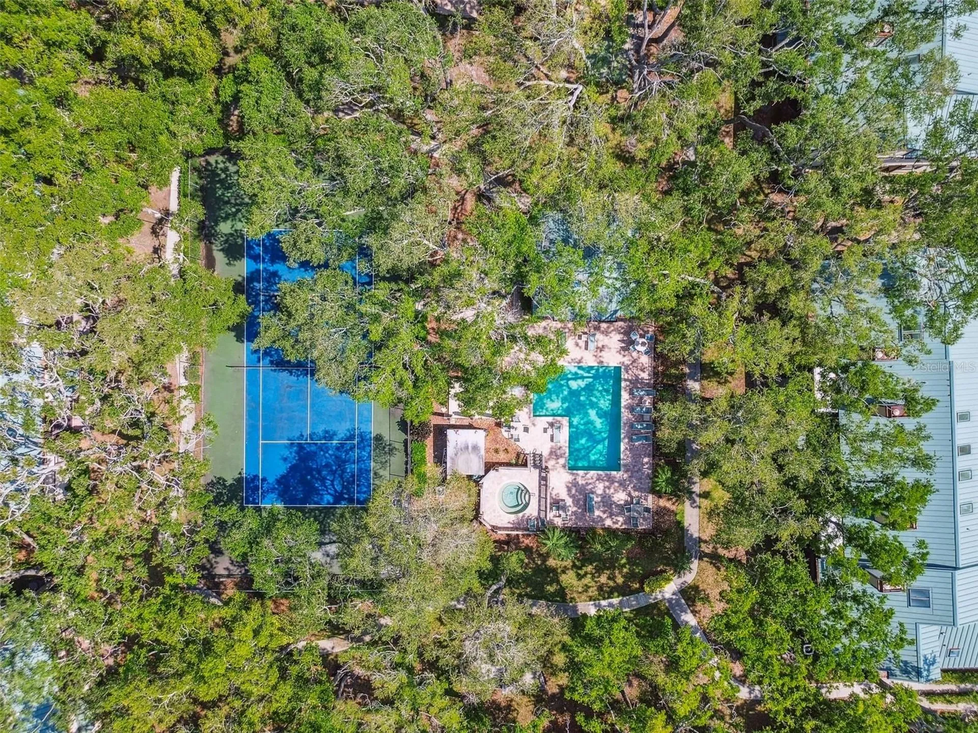 1480 Buckeye Lane Palm Harbor FL 34683