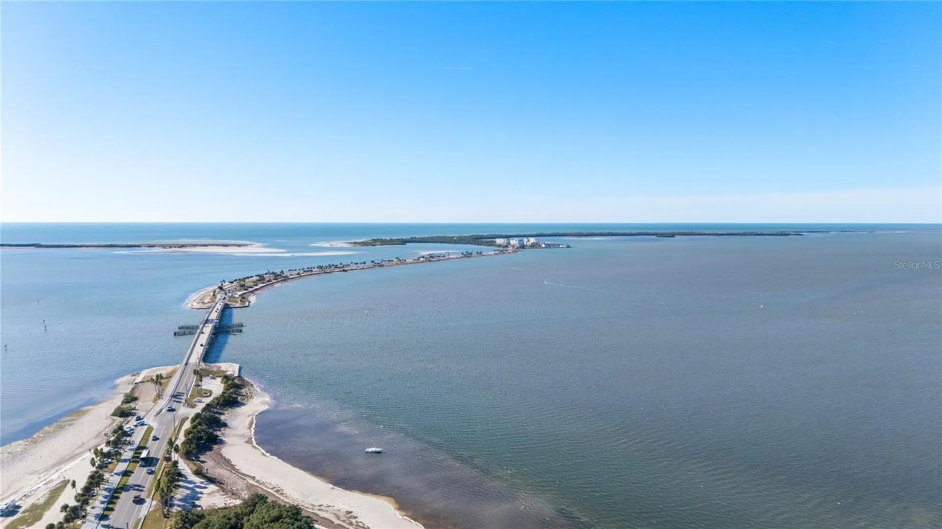 1480 Buckeye Lane Palm Harbor FL 34683