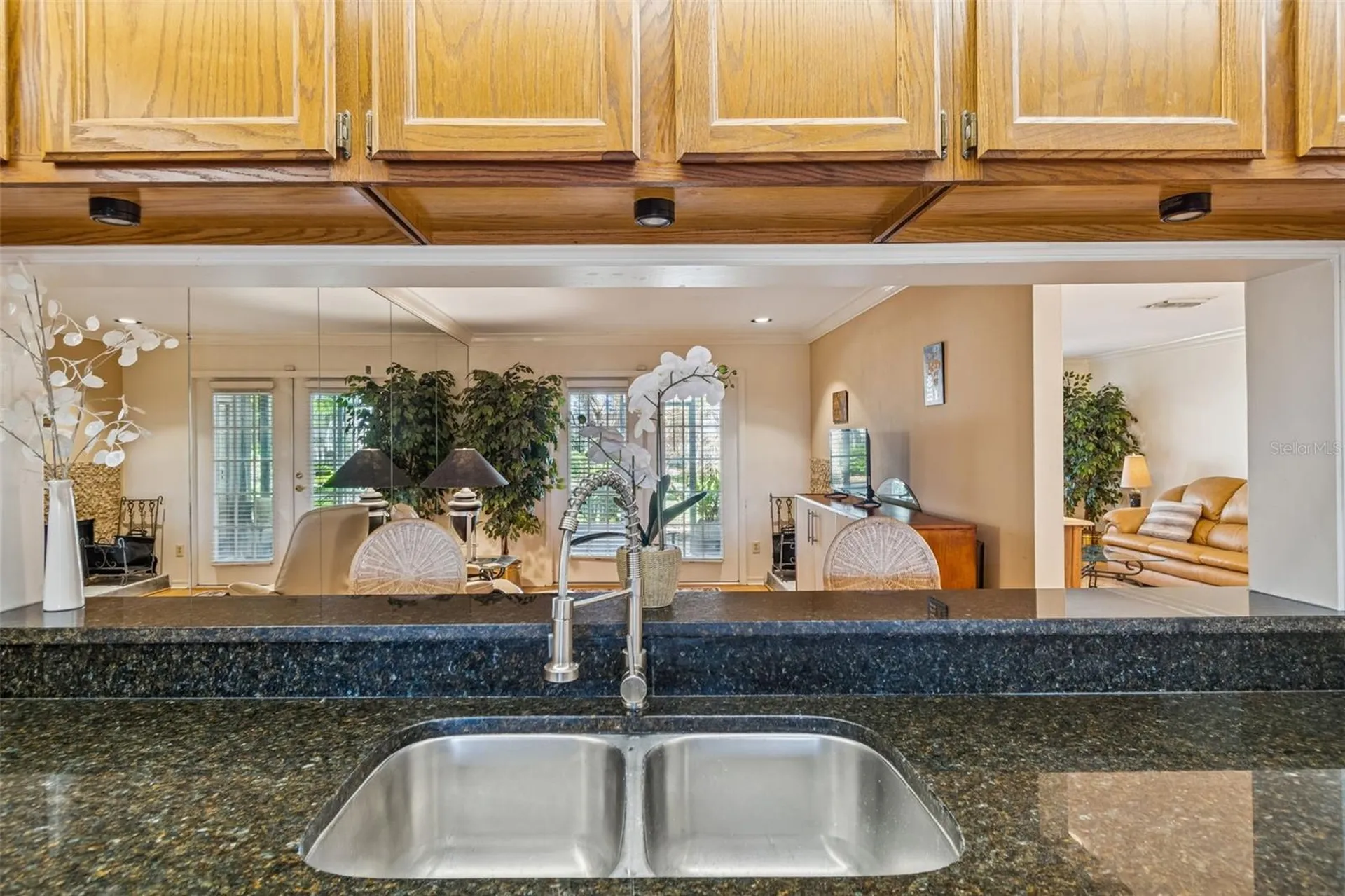 1480 Buckeye Lane Palm Harbor FL 34683