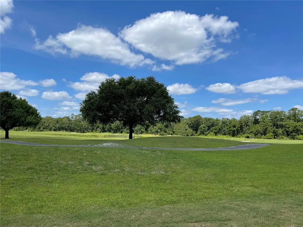 3430 Sagebrush Street Harmony FL 34773