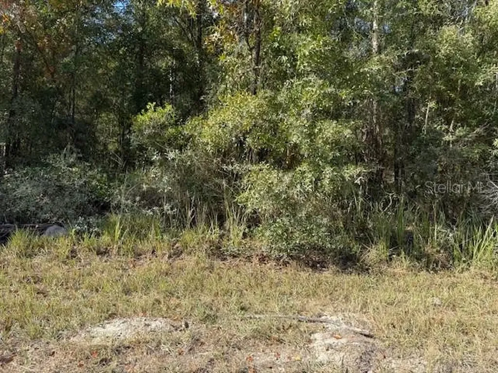 108TH Avenue NE Bronson FL 32621