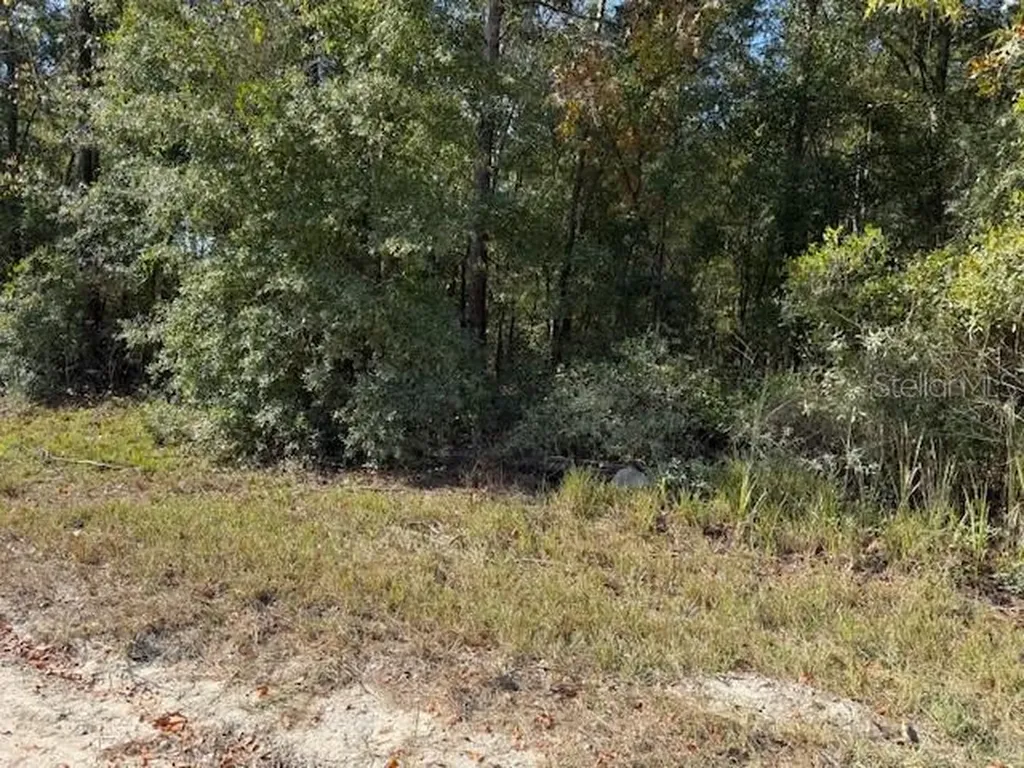 108TH Avenue NE Bronson FL 32621