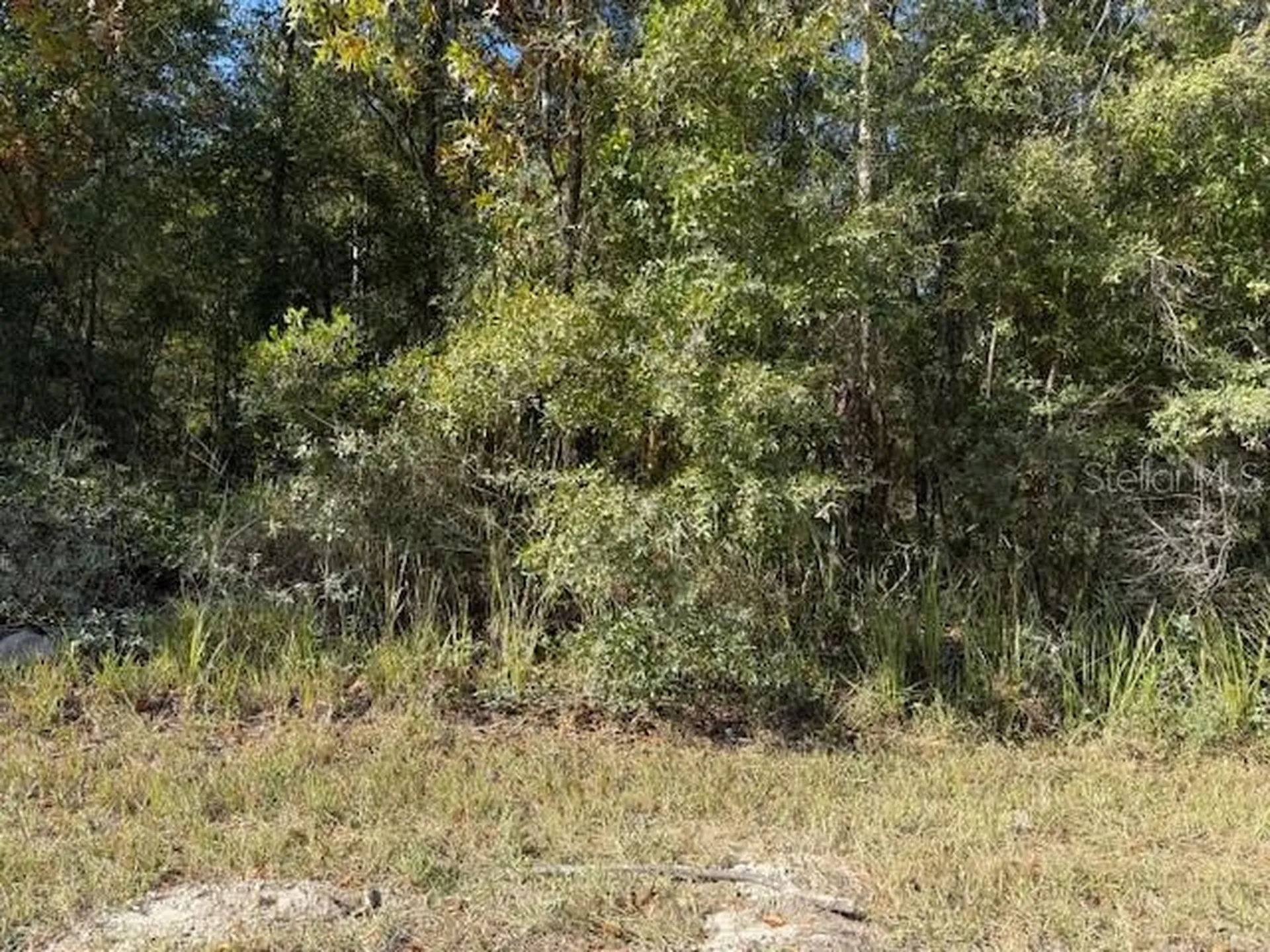108TH Avenue NE Bronson FL 32621