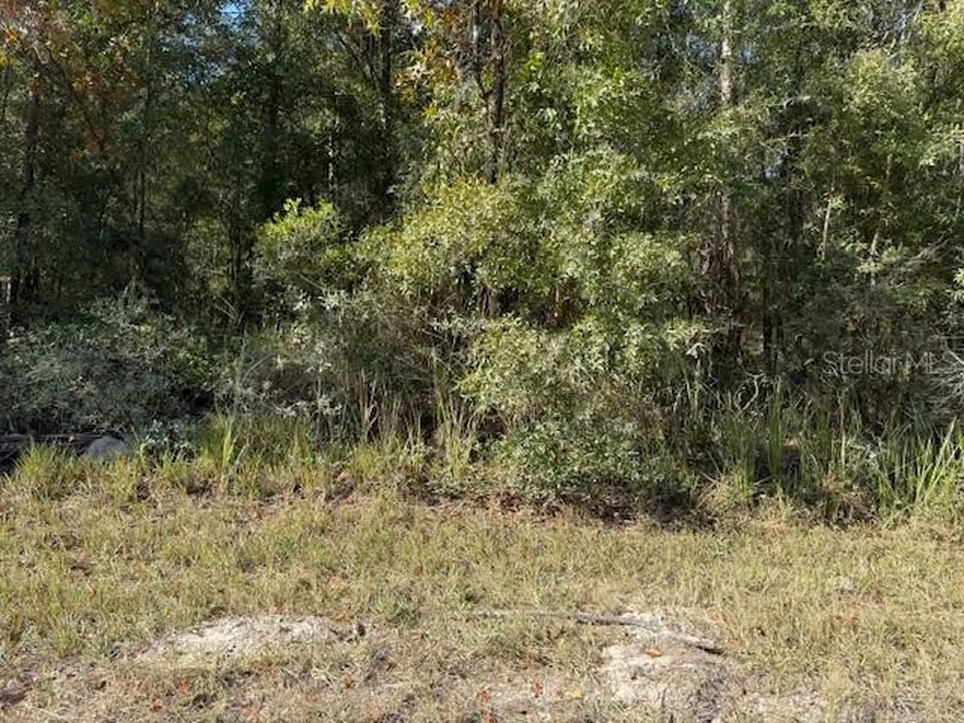 108TH Avenue NE Bronson FL 32621
