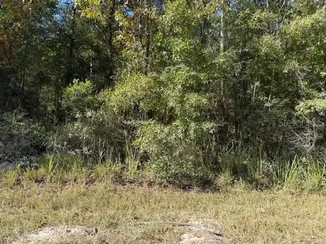 108TH Avenue NE Bronson FL 32621