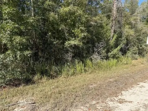 108TH Avenue NE Bronson FL 32621