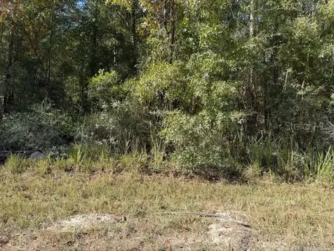 108TH Avenue NE Bronson FL 32621