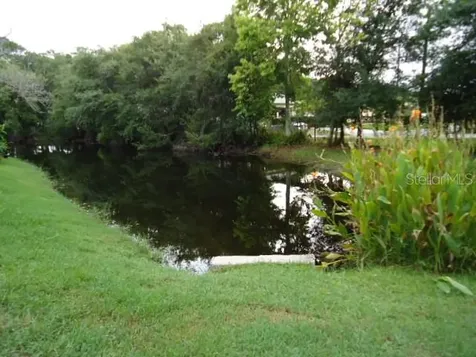 4012 Circlewood Court Tampa FL 33614