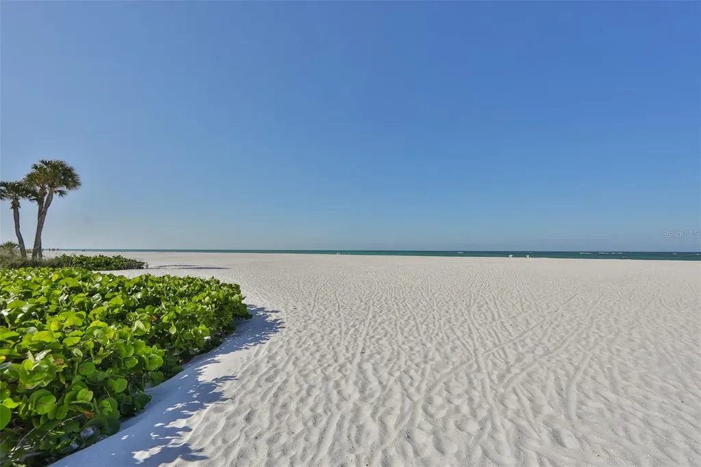 134 86th Terrace Treasure Island FL 33706