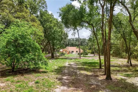 33943 E Lake Joanna Drive Eustis FL 32736