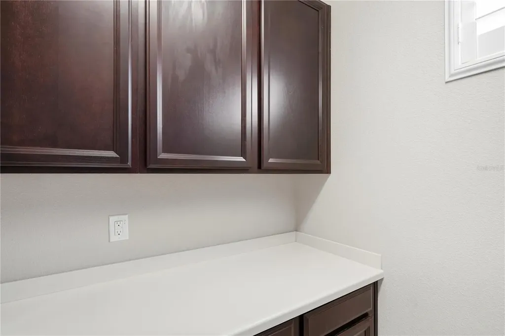 20112 Sorano Hill Place Tampa FL 33647