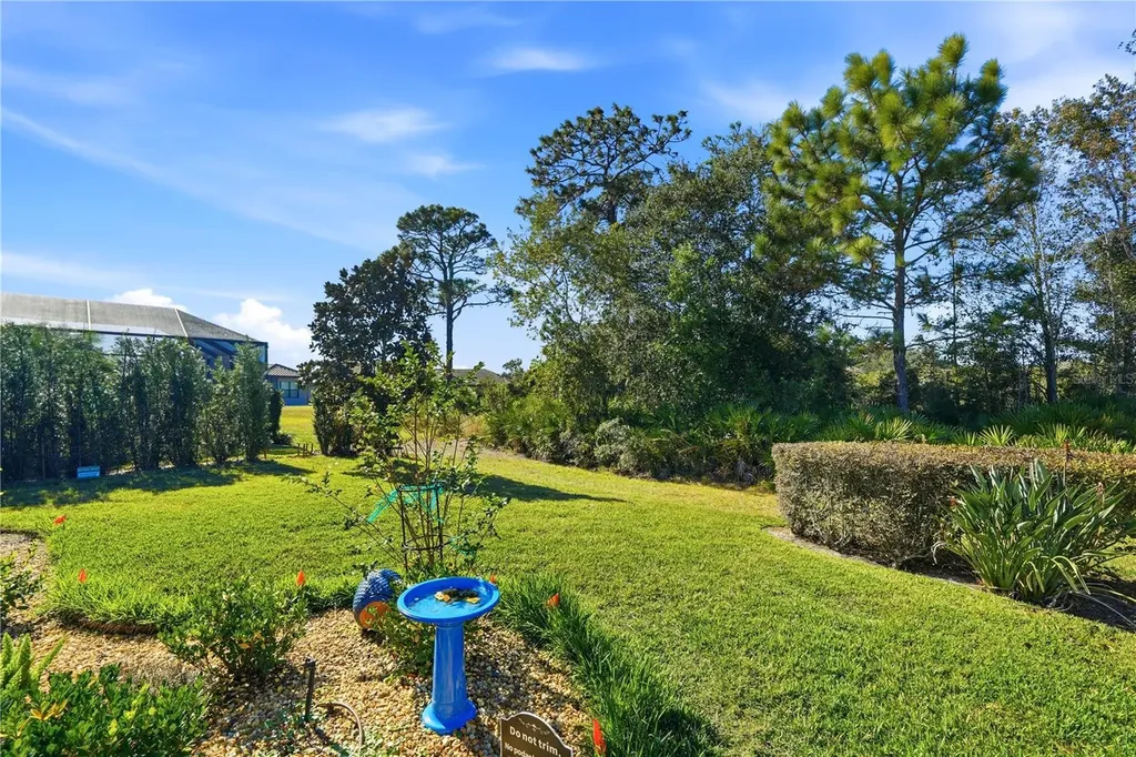 20112 Sorano Hill Place Tampa FL 33647