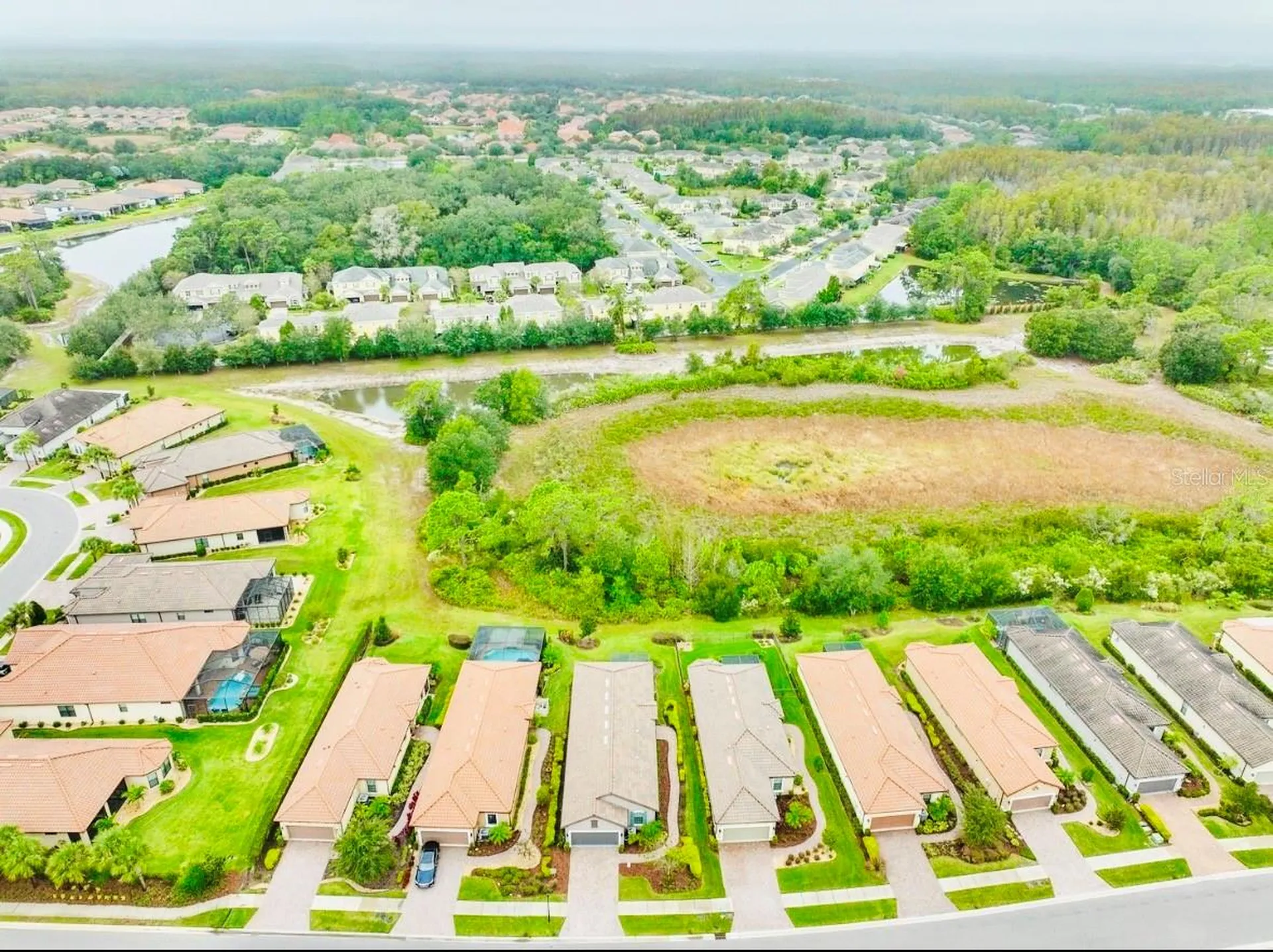 20112 Sorano Hill Place Tampa FL 33647