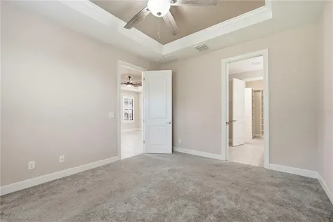 20112 Sorano Hill Place Tampa FL 33647