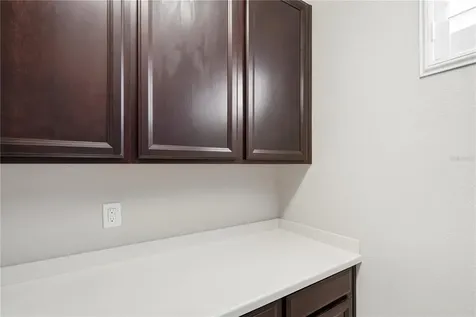 20112 Sorano Hill Place Tampa FL 33647
