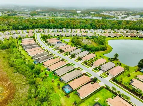 20112 Sorano Hill Place Tampa FL 33647