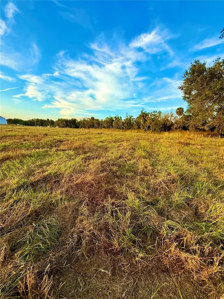 2902 SE Piggyback Road Arcadia FL 34266