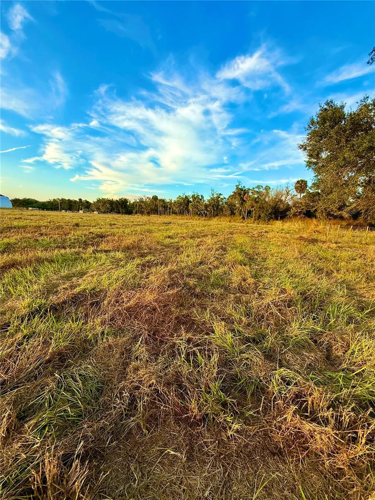 2902 SE Piggyback Road Arcadia FL 34266