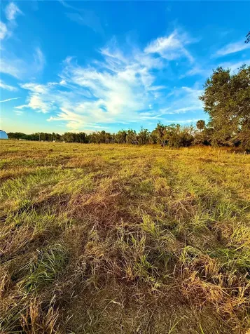 2902 SE Piggyback Road Arcadia FL 34266