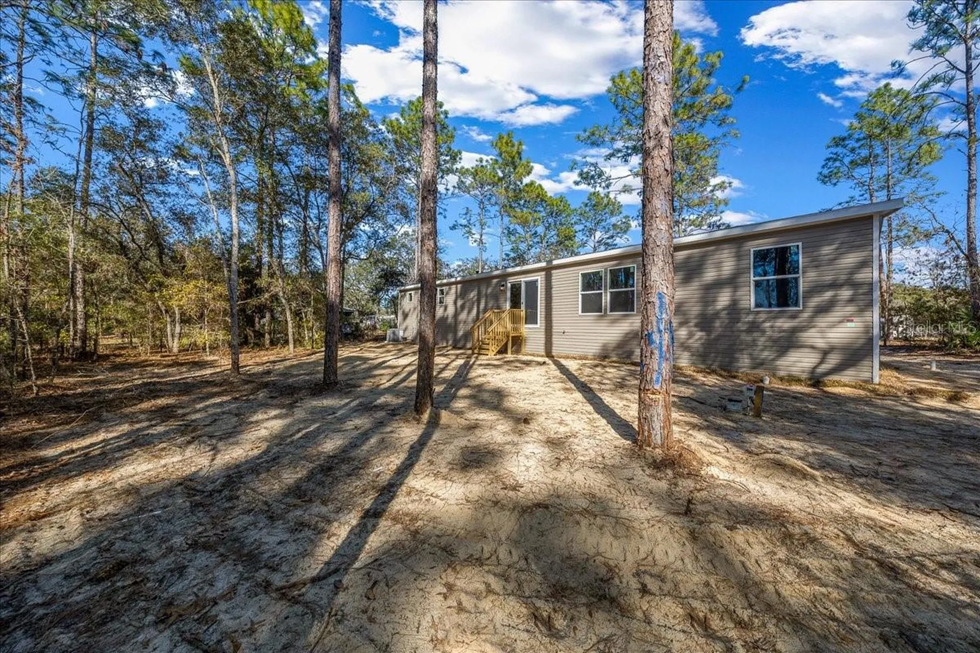 4165 SW 168th Circle Ocala FL 34481