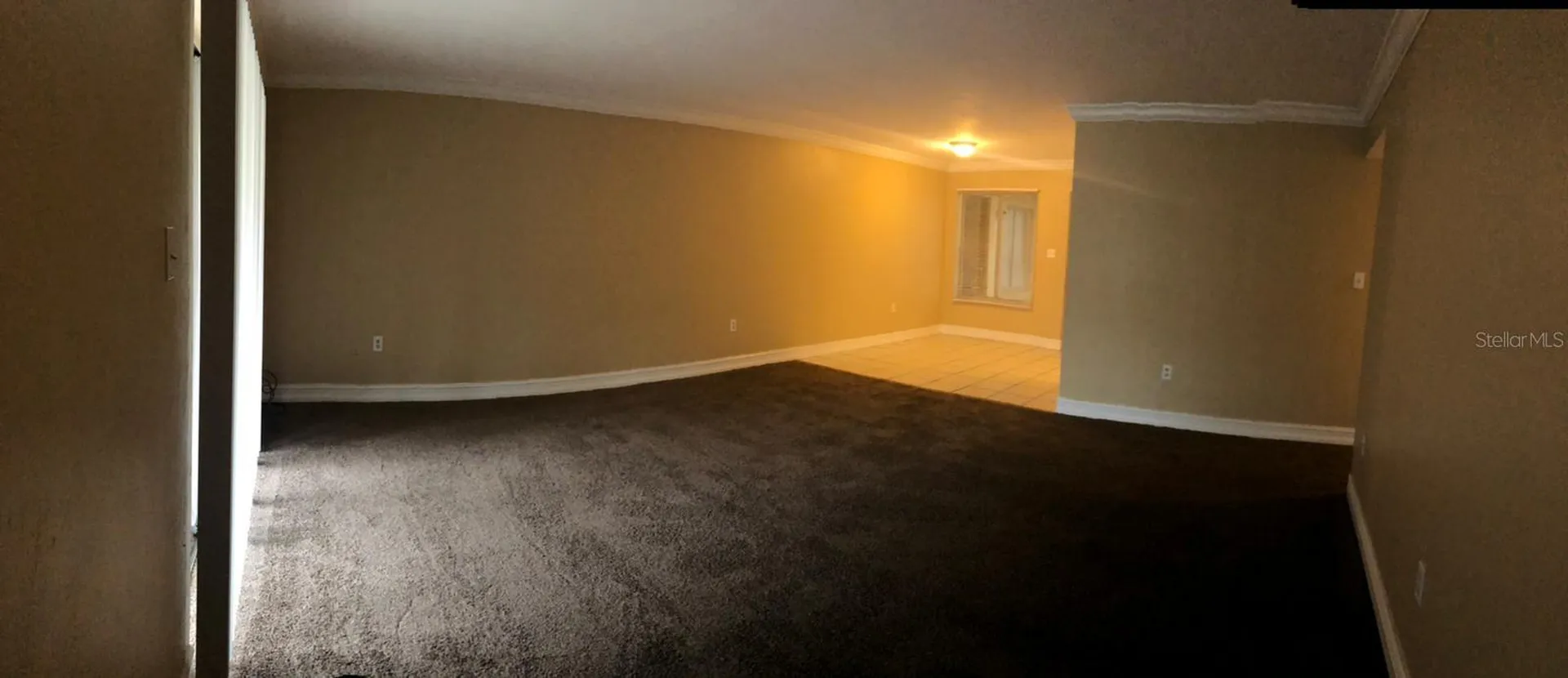1830 Maravilla Avenue Fort Myers FL 33901