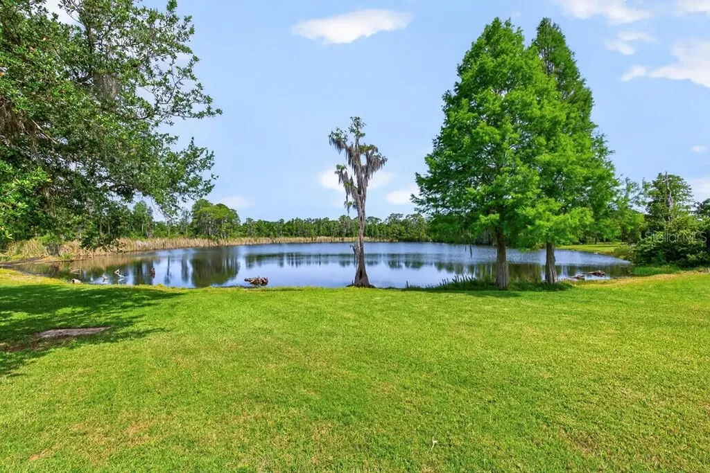 9107 Cypress Keep Lane Odessa FL 33556