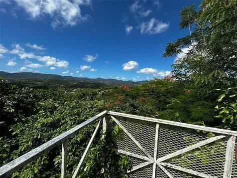 171, Km 2.1 Bo. Rincon Cidra PR 00739