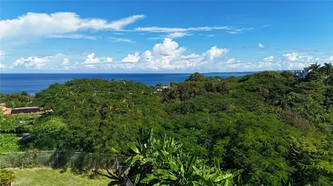 Km 4.4 Carr 413 Puntas Rincon PR 00677