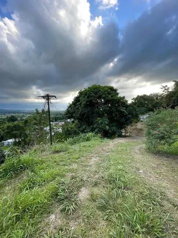 Solar 2. Barrio Daguey, Urb. Sagrado Corazon Anasco PR 00610