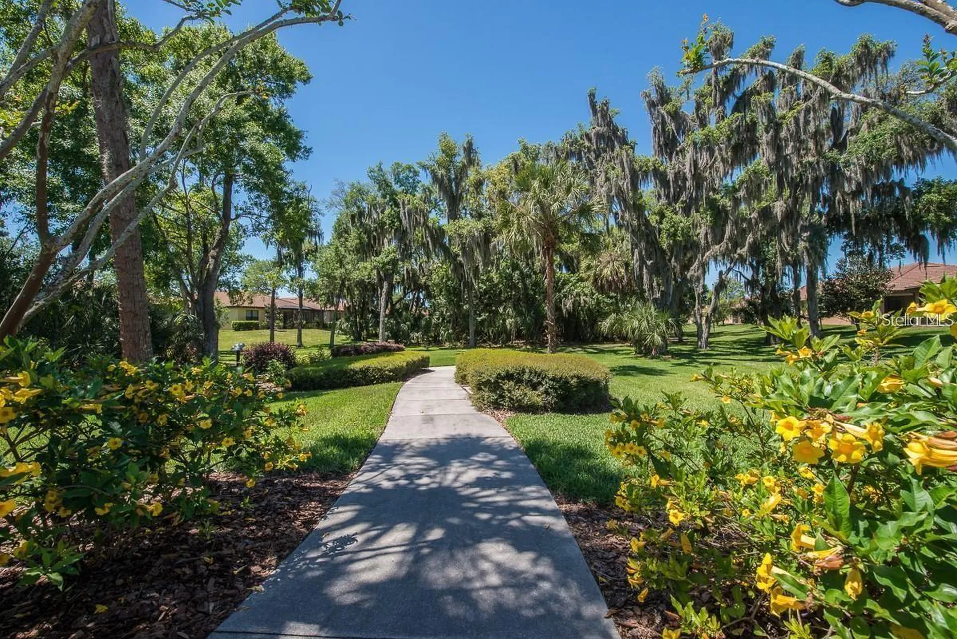 5648 Sunset Falls Drive Apollo Beach FL 33572