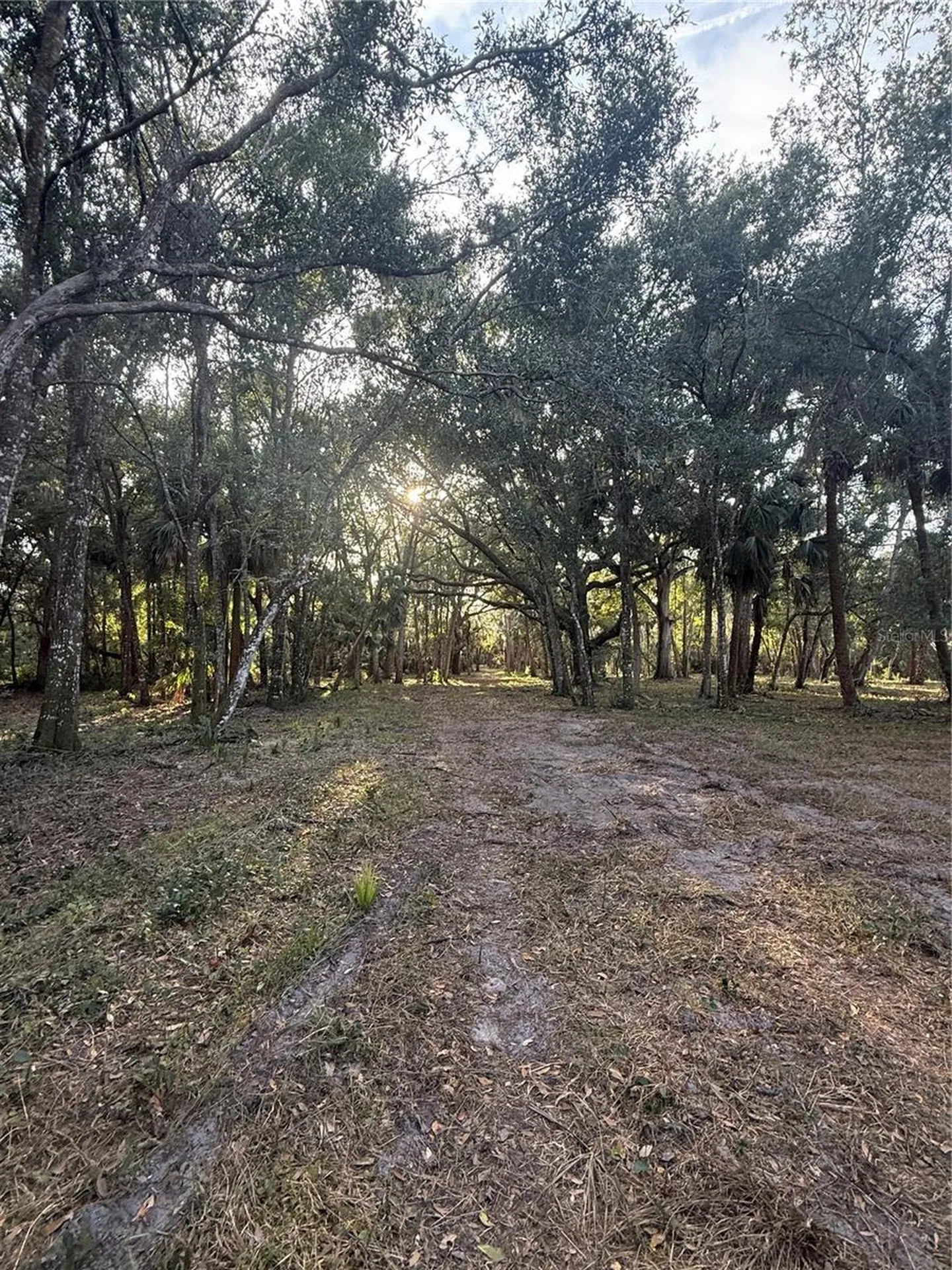 4400 N Ocean Shore Boulevard Palm Coast FL 32137
