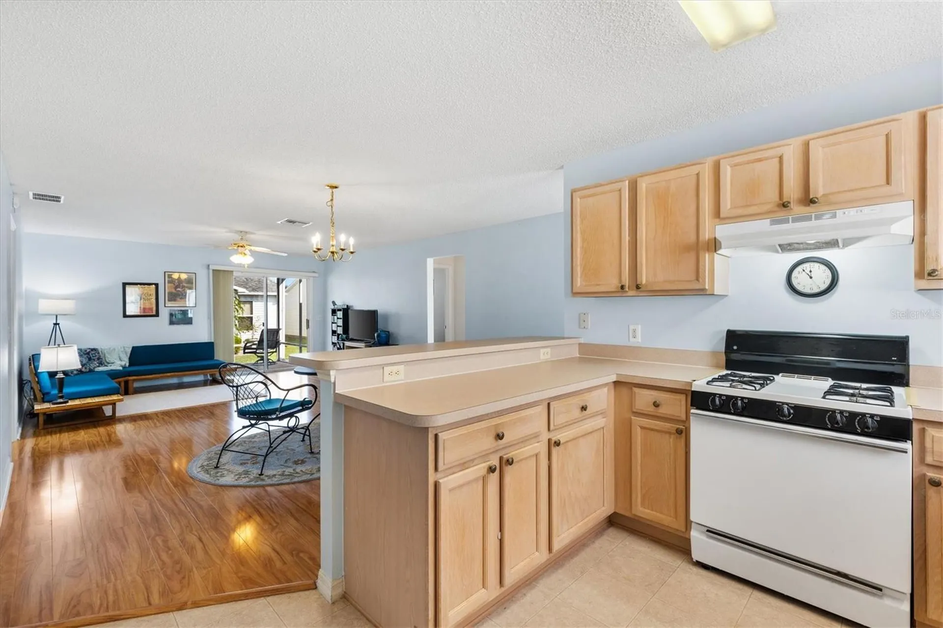 17659 SE 92nd Grantham Terrace The Villages FL 32162