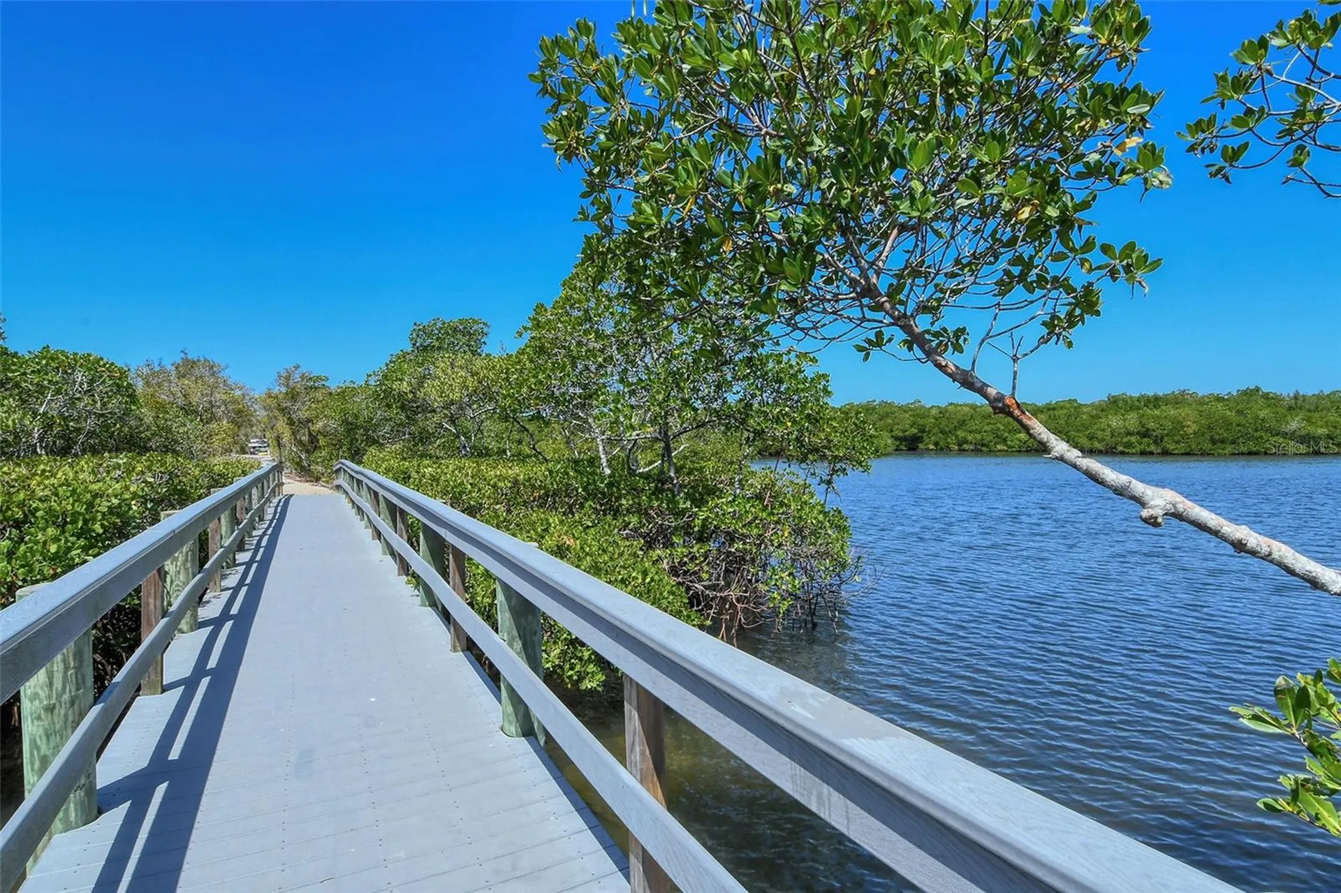 5260 Heron Way Sarasota FL 34231