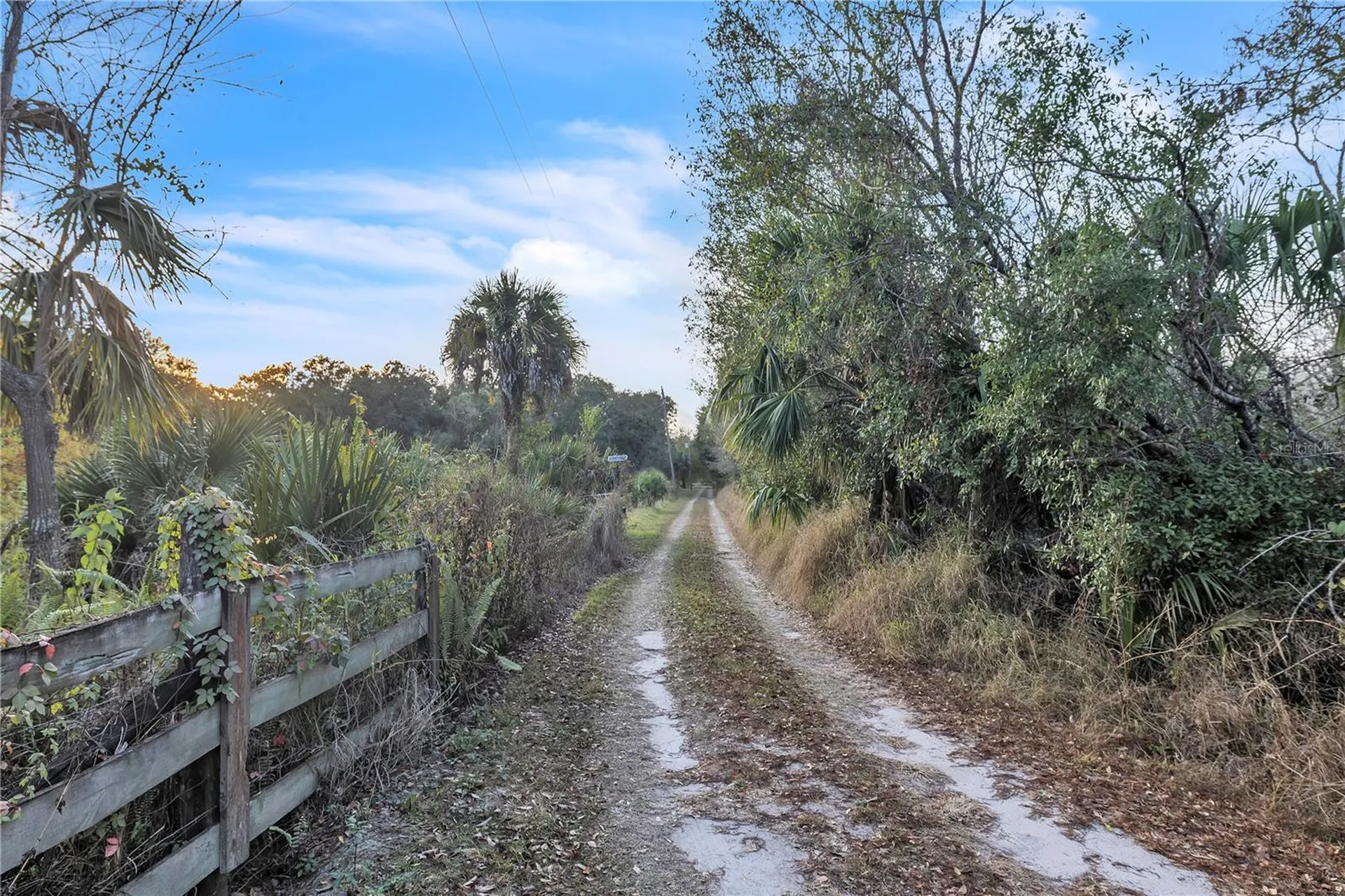 8056 SW Horse Creek Road Arcadia FL 34266